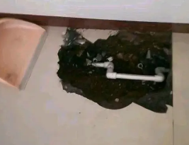 黄山卫生间测漏水多少钱